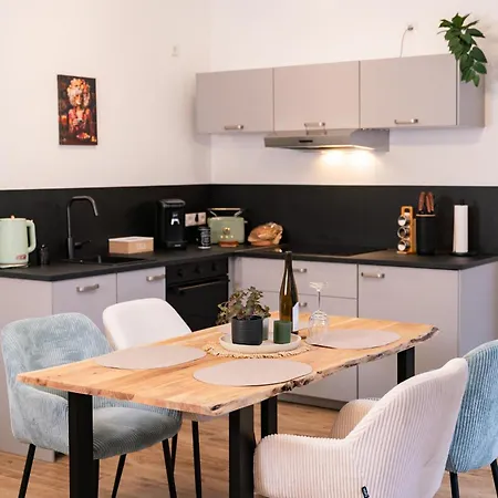 Loft In Historischer Hufschmiede Ruhe&citylife Apartment *